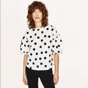 Zara polka dots ruffle sleeves top